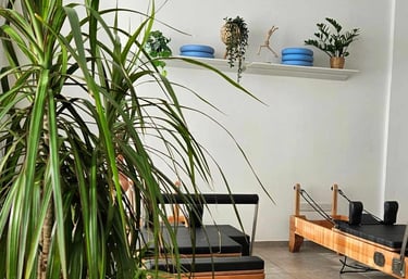 boutique reformer pilates studio