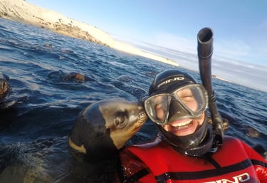 snorkeling con lobos marinos