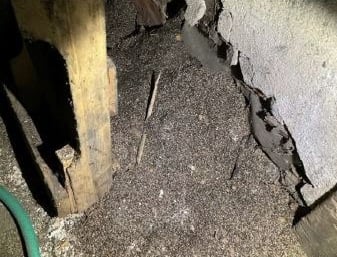 Vermiculite Insulation coming out of a broken wall
