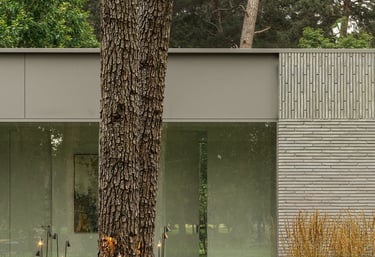 modernus vieno aukšto projektas