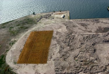 Agnes denes wheatfield a confrontation sustainable gallery merken magazine merkenmagazine