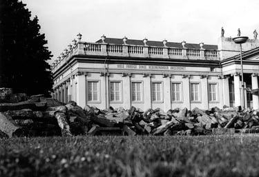 Joseph Beuys 7000 oaks sustainable gallery merken magazine merkenmagazine