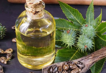 Holistic Health Tips
