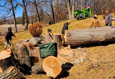 The crew getting to it in a back yard outside of Chanhassen, MN