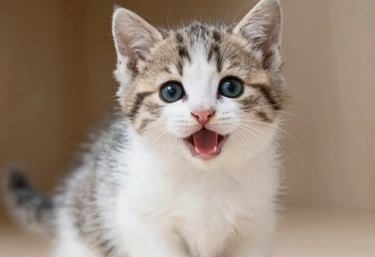 Close-up of a cat in a sleek, modern outfit looking content in a softly lit room.