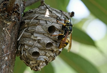 Technician applying fumigation treatment in a residential living room.