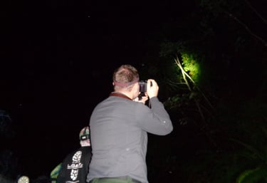 a man taking a picture of a wildlife on a tree during night wildlife photography