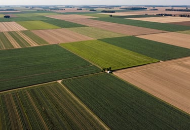 A scenic aerial view of a patchwork of different crops across the North American landscape, showcasing sustainable farming techniques.