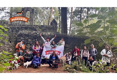 Un grupo de excursionistas y sus perros frente a un muro de piedra en el bosque