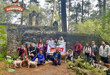 Un grupo de excursionistas y sus perros posan frente a unas ruinas de piedra en un bosque de pinos