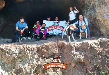 Un grupo de excursionistas con sus perros posando a las afueras de una cueva rocosa