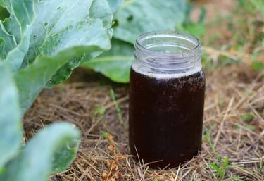 A jar of compost tea