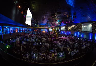Crowd inside a Las Vegas strip club watching live stage performances