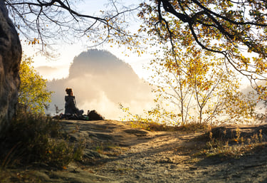 Wild soul, relationship with Nature