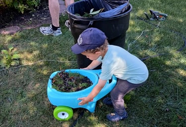 A child helping with gardening.