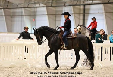 Renee Waters competing in western riding