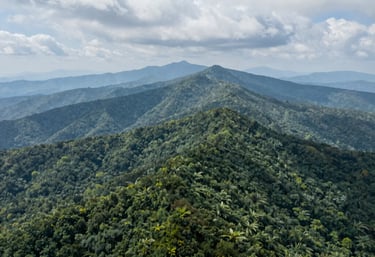 An aerial photo looking down over layers of hazy green forest ridges under high white clouds in the North American / Appalachian Blue Ridge Mountains.