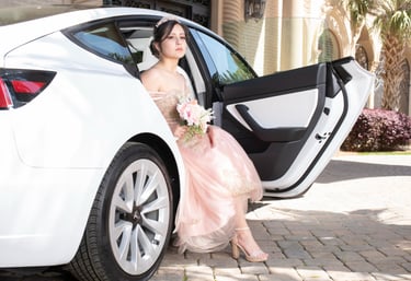 Modern Quinceañera photo by Diego salcedo