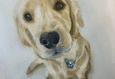 Watercolor painting by Chris Dias Koot. Pet Collection