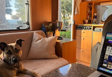 Seamus' Vanilfe office