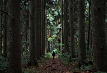 Elegant workspace with minimalist design, featuring a keyboard and open books under soft natural light.