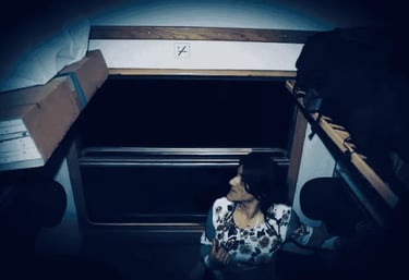 Zainab abdulkarim,deception,visual art, Salah hassan al saadi