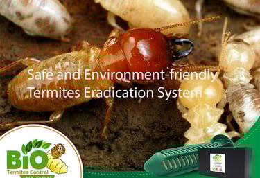 Safe and environment-friendly termite eradication system by Bio Termite Control using non-toxic bait