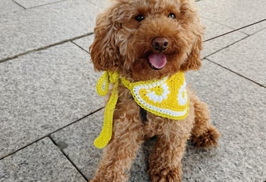 Patron crochet bandana perro