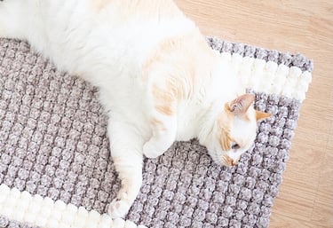 Patron crochet alfombra