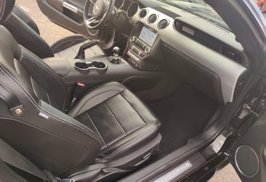 Servizio di detailing interni e sanificazione professionale auto - The Art of Car Care
