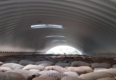 Warehouse for food grain