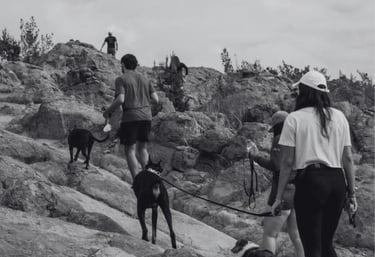 Caminata grupal con perros en sendero de la Cañada del Lobo en San Luis Potosí