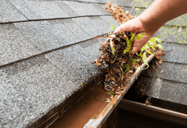 Jackton Gutter Clearing