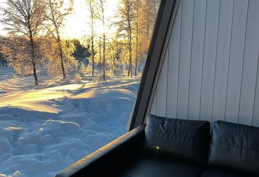 A black leather sofa inside a modern cabin with a scenic view of a snowy winter forest at sunset.