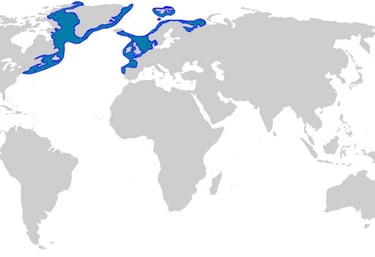 repartition-geographique-requin-du-groenland