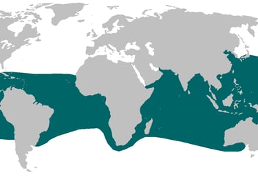 repartition-geographique-requin-grande-gueule