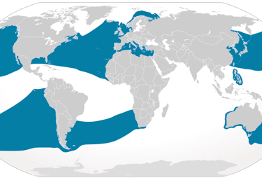 repartition-geographique-requin-pelerin