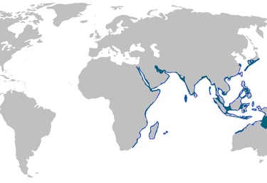 repartition-geographique-requin-zebre
