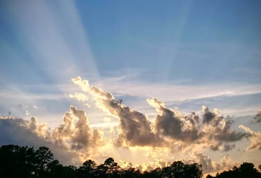 Photo of a sunset, with sunlight radiating upward, backlighting clouds, the tree line is visible below