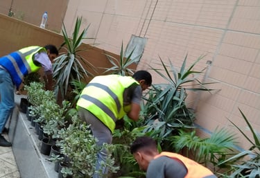 newgreentouch Landscaping plant care