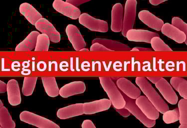 Legionellenverhalten