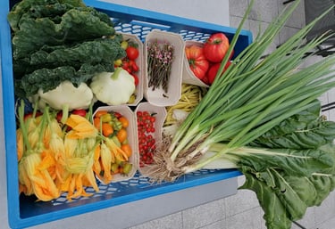 Bos mit frischem Gemüse
