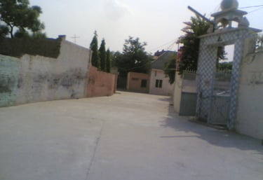 Great condition of street surrounded by houses and trees