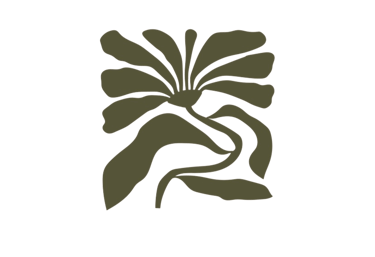 Créatrice florale Perpignan fleurs fraiches fleurs séchées