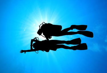 zwei Taucher die navigieren Specialdive
