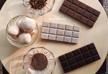 Food Startup by AVI venture studio Mushroom Chocolates
