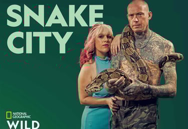 snake city