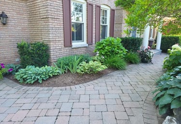 Spring mulching in a clean garden bed with new plantings