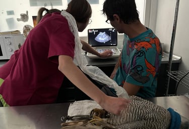 a man and woman in a lab with a bird on a table