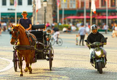 a horse drawn carriage with a man in a hat and a horse drawn carriage